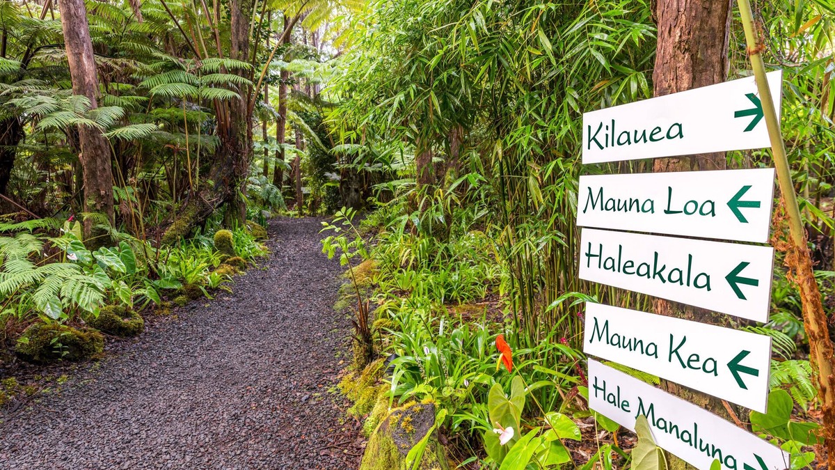 Volcano Bed & Breakfast | Private Rainforest Retreat in Volcano Village