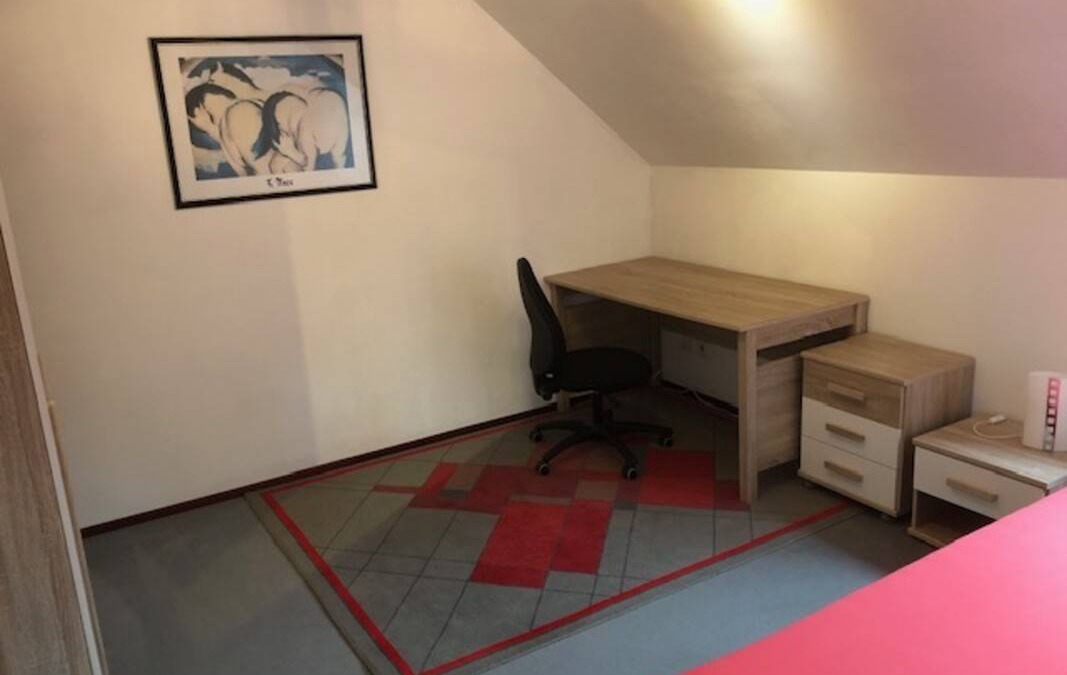 Tegerfelden Resort | Private room ∙ 1 guest