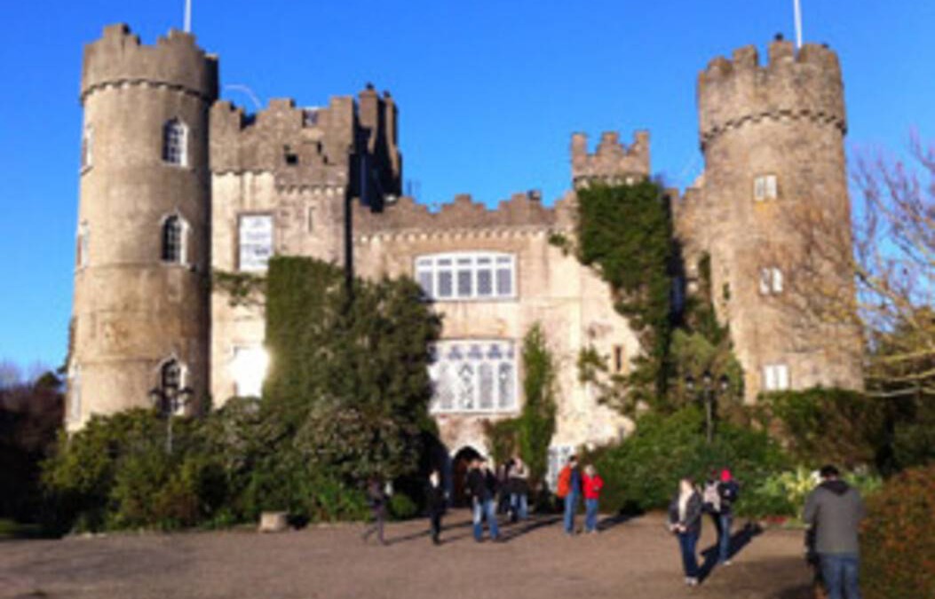 Malahide Resort | Private room ∙ 1 guest