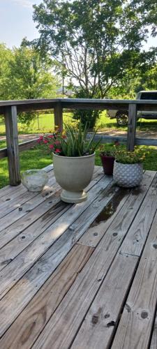 Tupelo House | Private room and bath in comfortable home