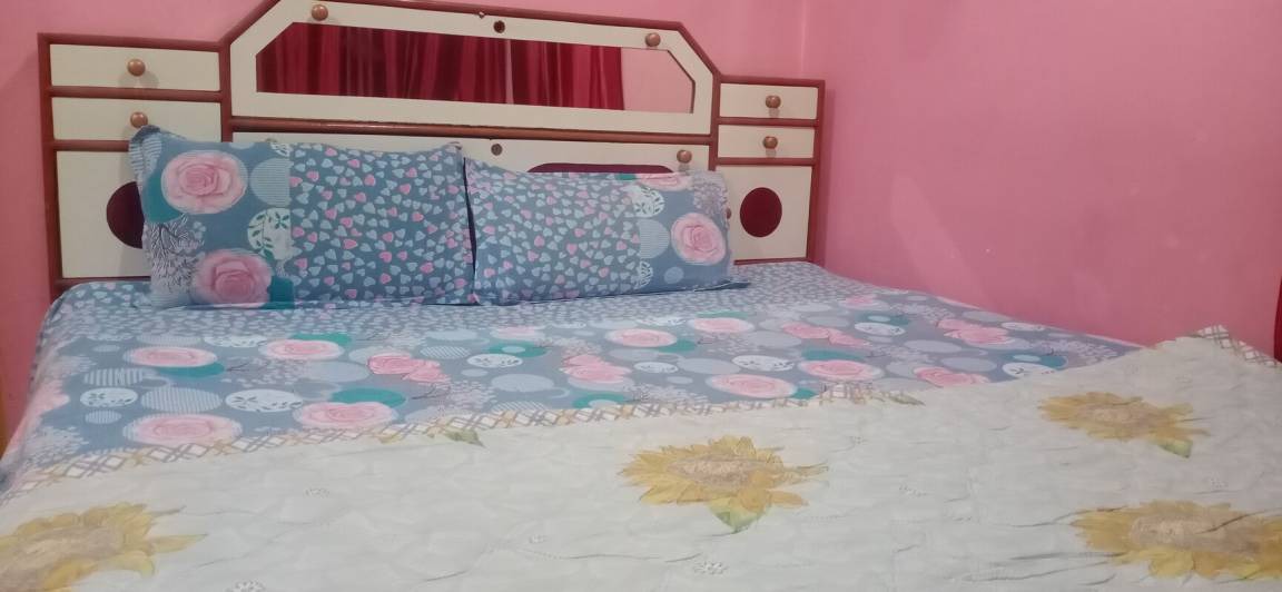 Srinagar Cabin | Private room