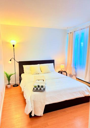 Mount Pleasant Apartment | Private Room In The Heart Of The City