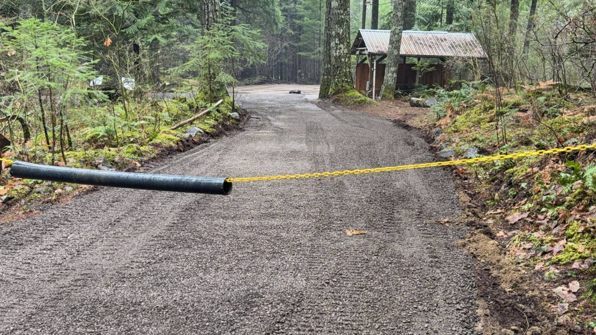 Packwood House | Private RV parking at the base of Mt. Rainier. Have the forest to yourself!