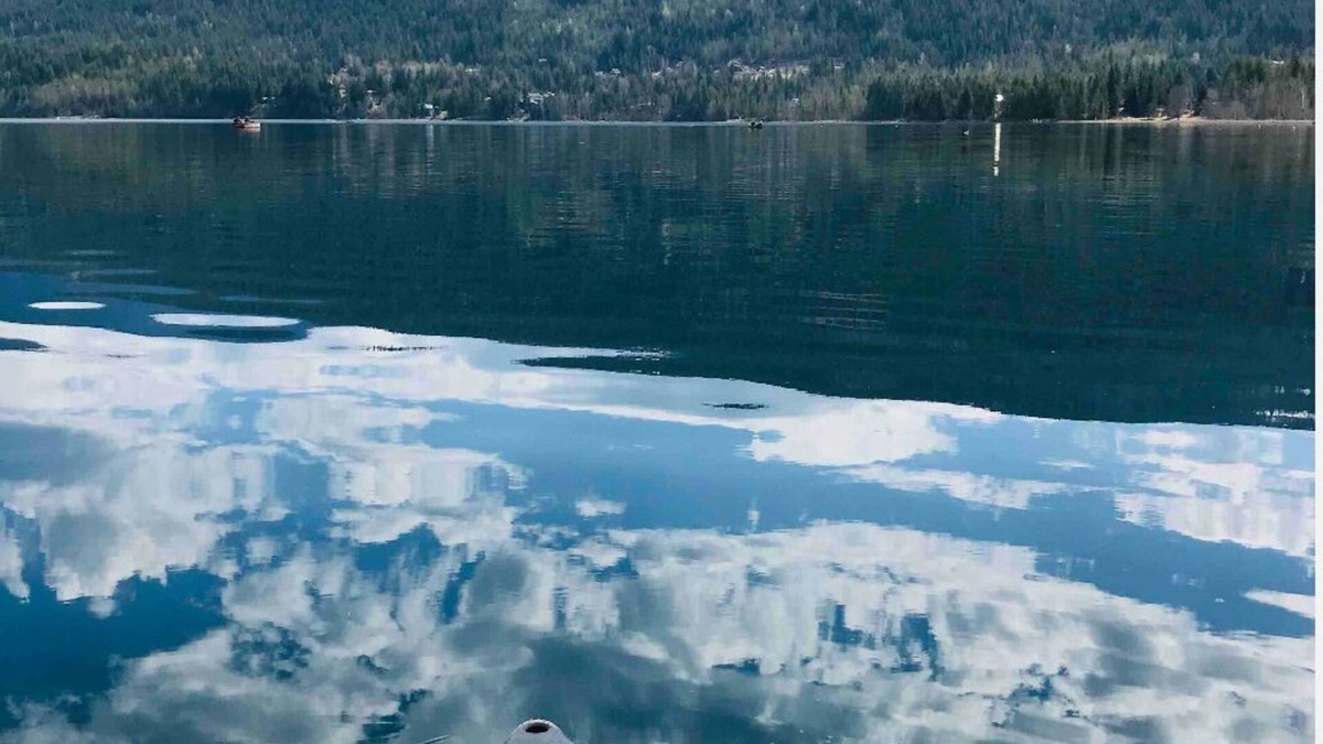 Tappen House | Private Shuswap Lake View Deluxe 2 Bedroom Fully Set-up Suite. With Hot Tub.