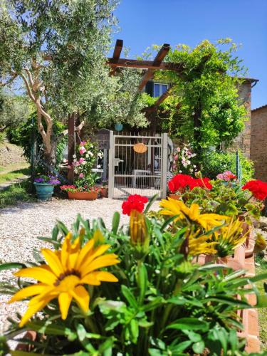 Tuoro sul Trasimeno House | Private Stone Cottage with Starlink & Lake View