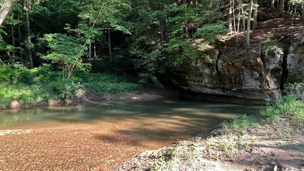 Logan Apartment | Private Suite - Big Pine Studio - Hocking Hills