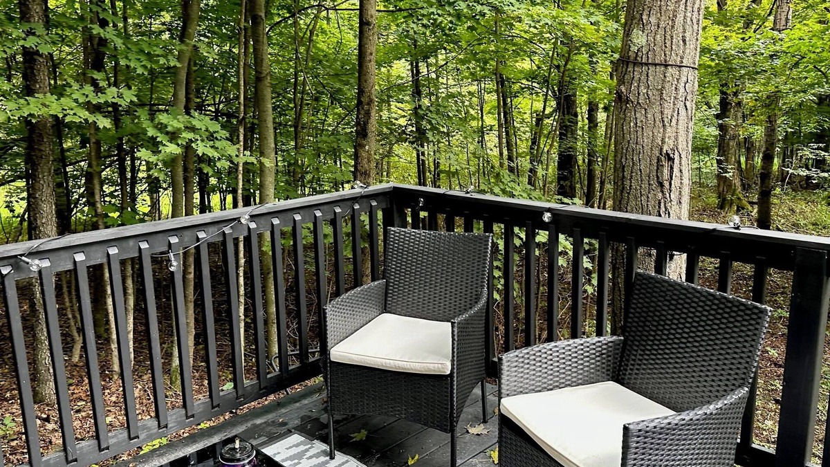 Dushore Cabin | Private Tiny Cabin in Dushore! A Nature Lovers Dream