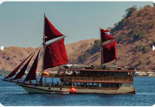 Labuan Bajo Boat Rental | Private Trip Best Komodo Tour