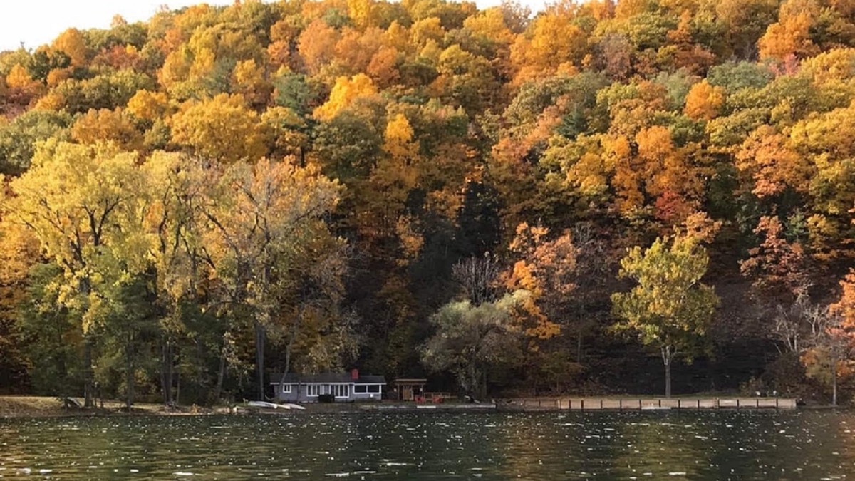 Naples Cottage | Private! Unique Lake Front Cottage. Heron Cove Sanctuary, Beauty & Peace!