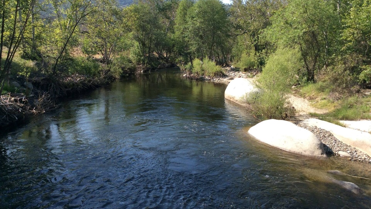 Three Rivers Cabin | Private, upscale, riverfront cabin, sleeps 6; amazing amenities to dazzle