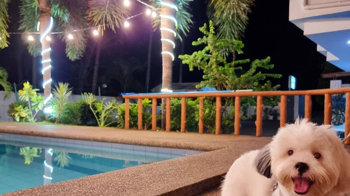 Panglao House | Private Villa w/pool,wifi,videoke & kitchen access