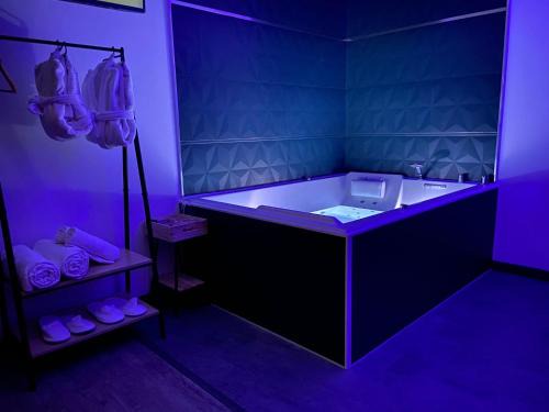 Varois-et-Chaignot Apartment | Privilège Spa, jacuzzi & Sauna