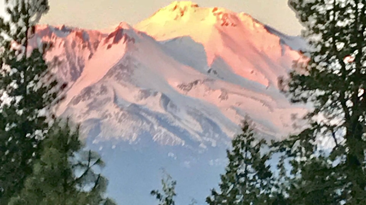 Mount Shasta Apartment | PROMO 8.50 WEEKLY AND 12.50 MONTHLY DISCOUNTnMt Shasta Cabin/Studio