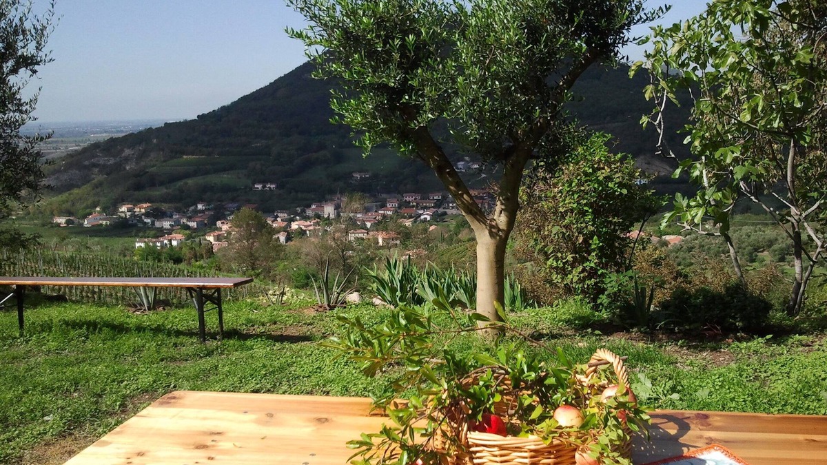 Cornoleda Apartment | PROMOTION TRAVEL WITH BABY IN THE FAMILY from 16 to 23 August cot, high chair