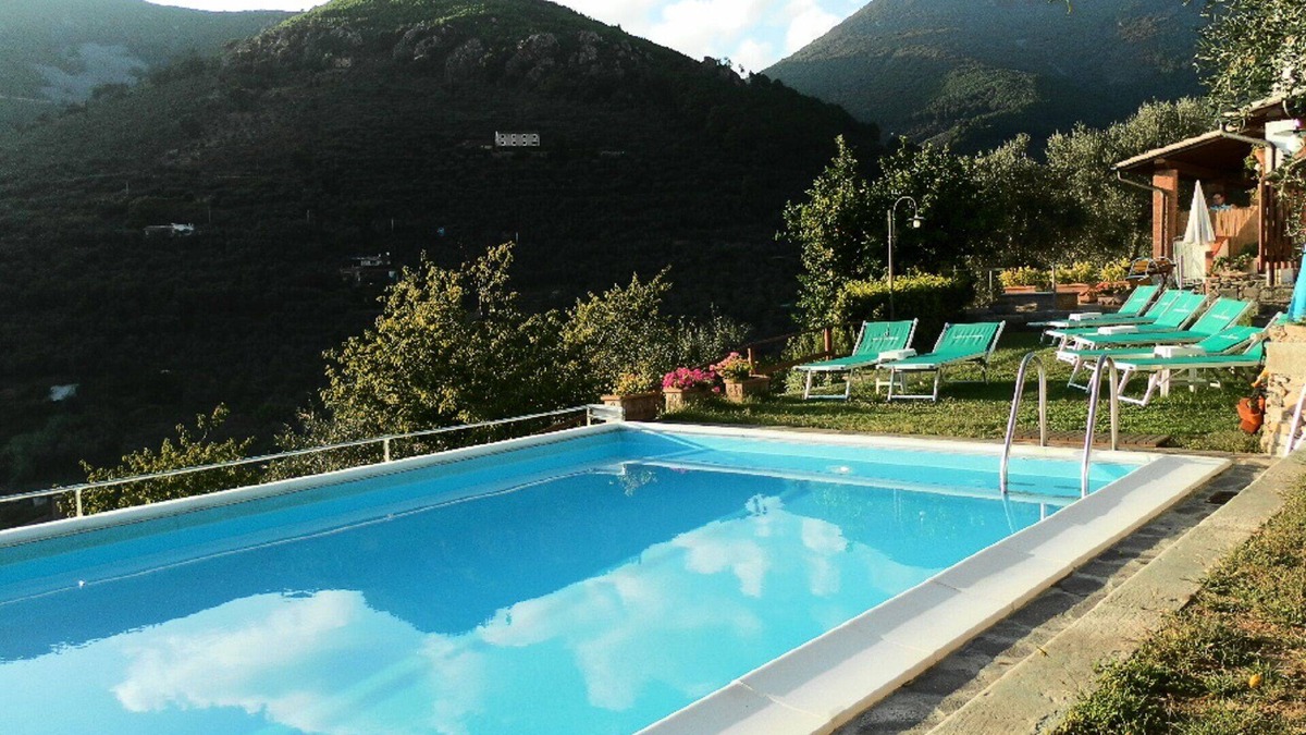 Calci Apartment | Promotion Typical Tuscan house surrounded by olive trees
