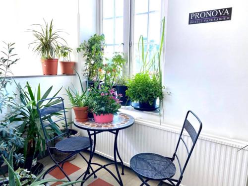 Gamla Staden Hostel | Pronova Hotell & Vandrarhem