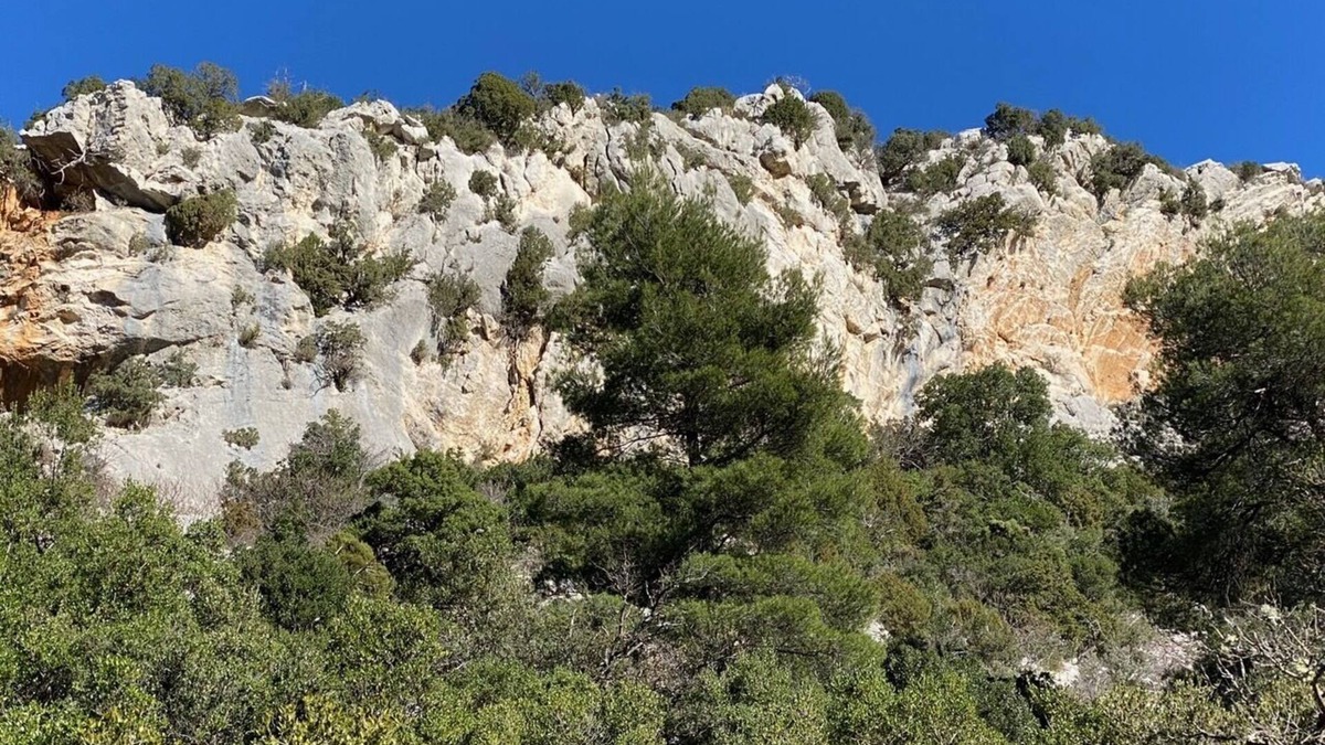 Vauvenargues Apartment | Provençal Country Home/Apartment - Garden and Swimming Pool