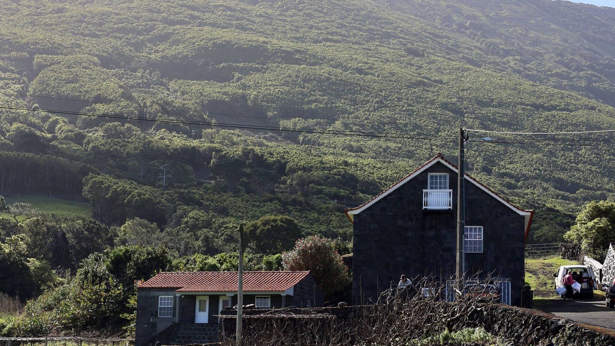 Santo Amaro House | Comfortable stone house in Pico