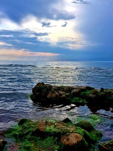 Ventspils Other | Puķkalniņš