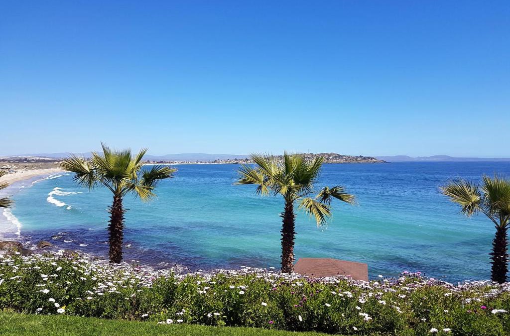 Tongoy Apartment | Puerto Velero/Primera Linea