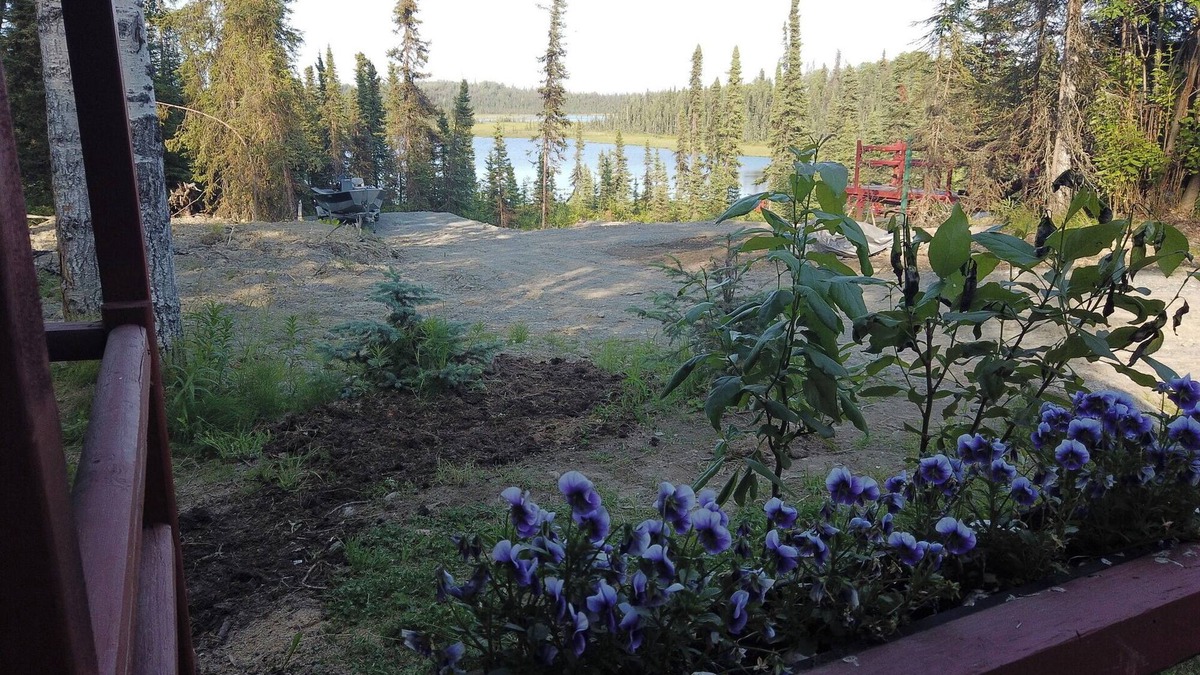 Ridgeway Cabin | Puffin Cabin; Immersed In NatureNear Kenai River