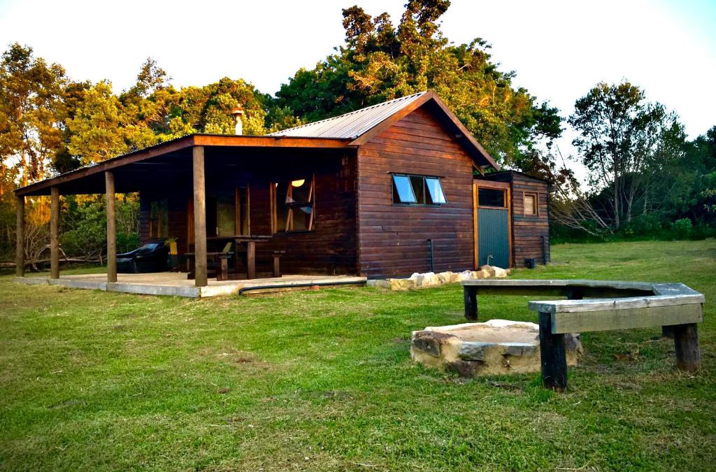 Witelsbos House | Pura Vida Forest Cabin
