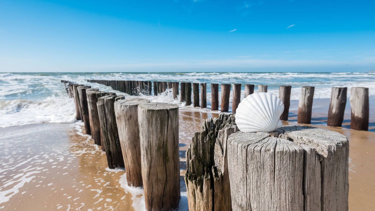 Duhnen Hotel | Pura Vida Hotel Cuxhaven