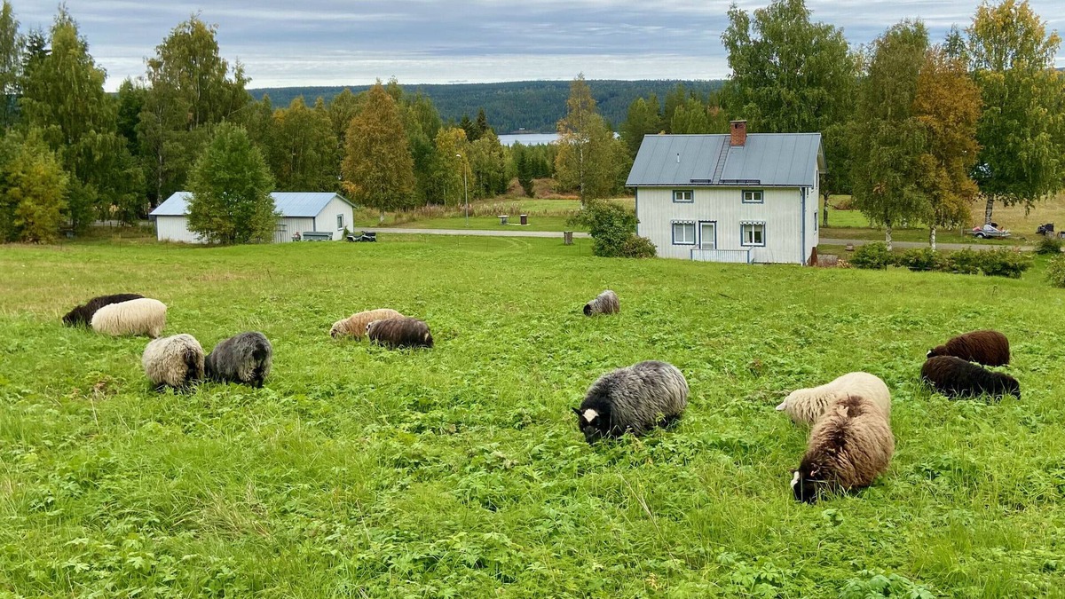 Stromsund Municipality House | Pure nature vacation not far from the water for fishing, boating and relaxing