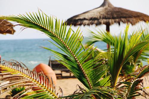 Lome Hotel | Pure Plage