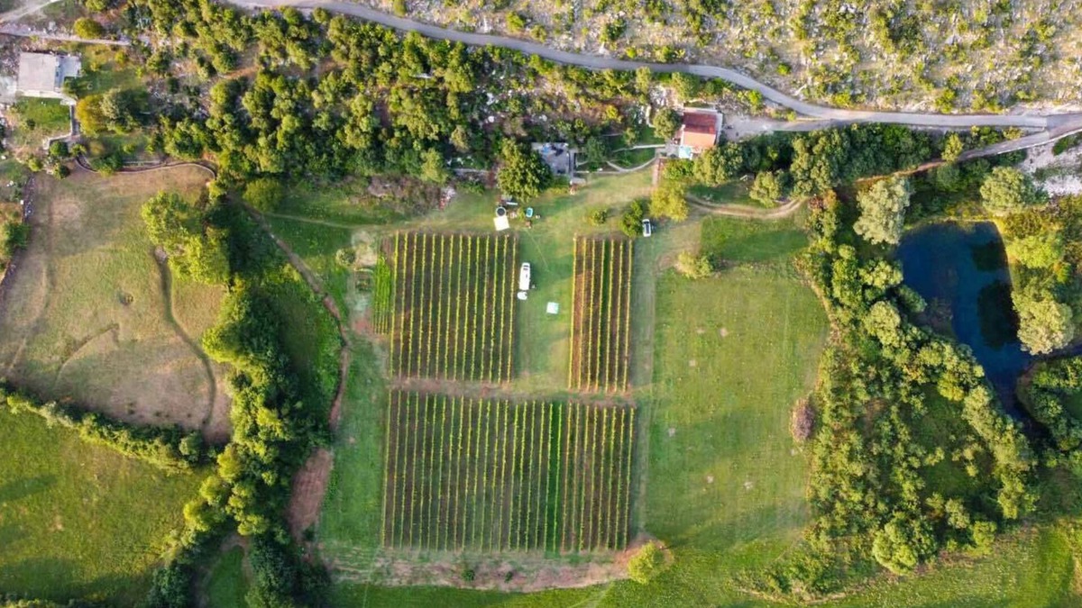 Pricelje RV Rental | Purple Eye Estate - Camp & Winery (Jokaš)