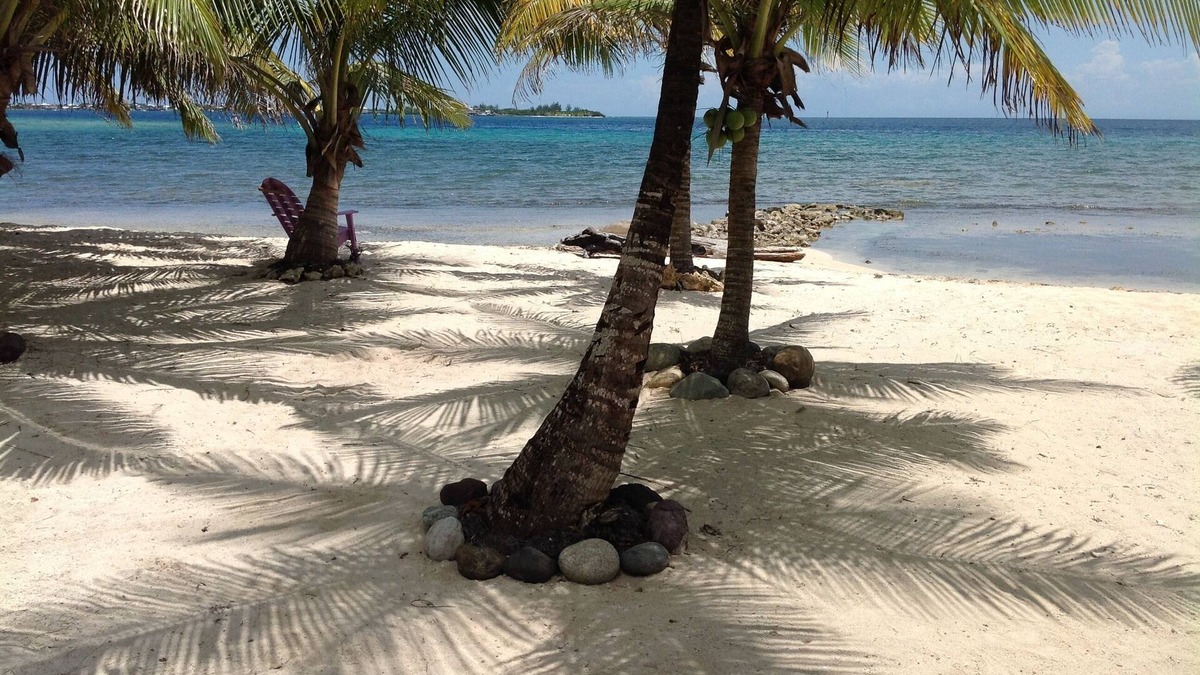 Isla de Utila House | Purple Jawfish Beach House On Private White Sand Beach in Front of Amazing Reef!
