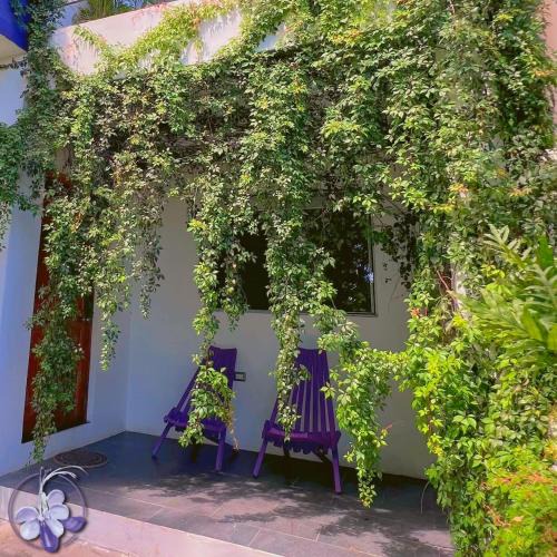 Tamanique Apartment | Purple Suites