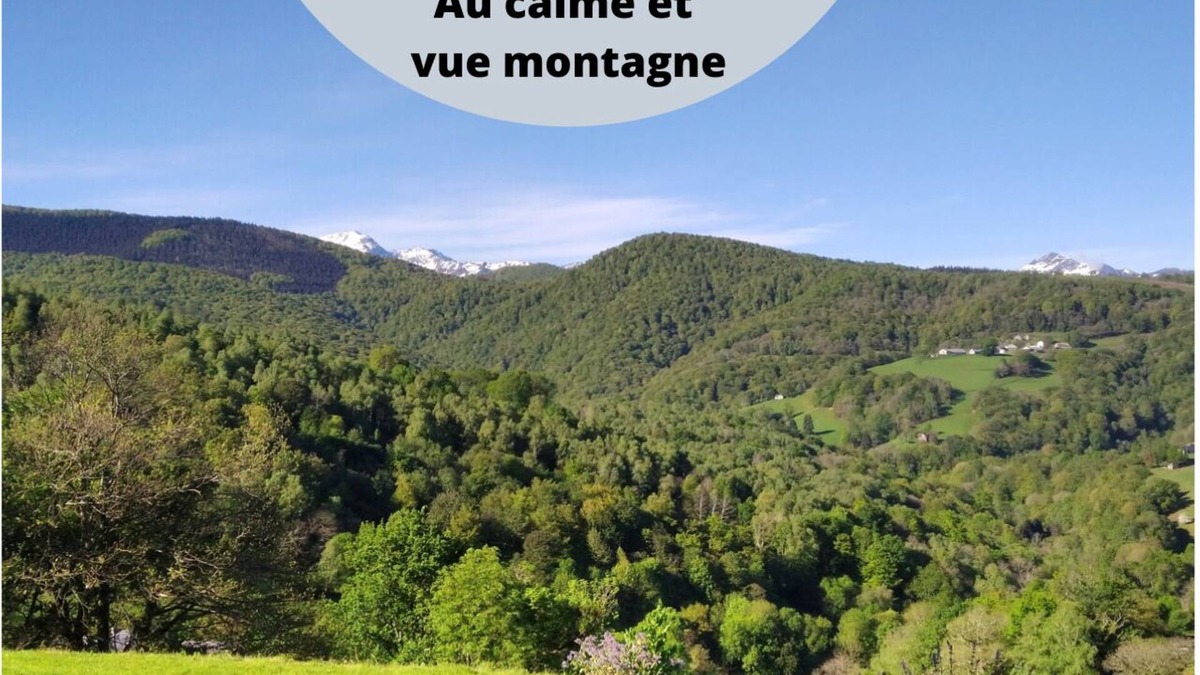 Lies House | Pyrenees-Cottage "La Grange de la Hulotte" (4/5pers) and Meditation Workshop.