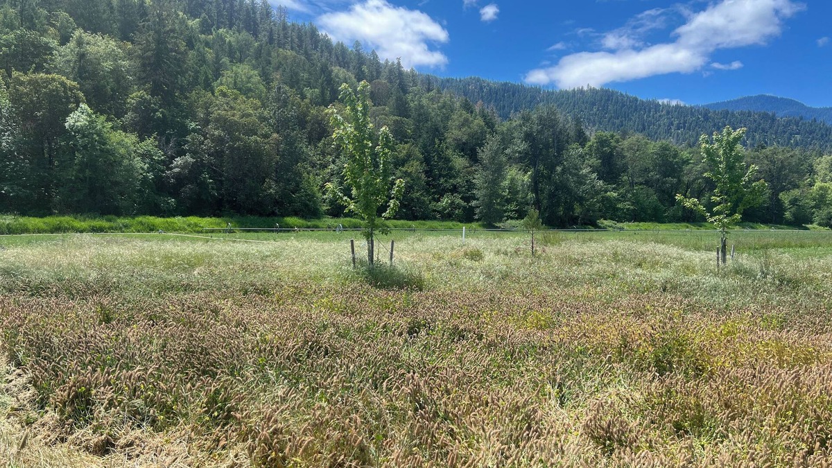 Jacksonville House | Quail Run Mountain View Cottage!