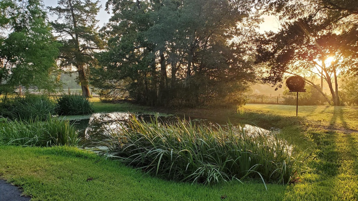 New Ulm Other | Quaint 4 Bedroom Farmhouse near Round Top, New Ulm