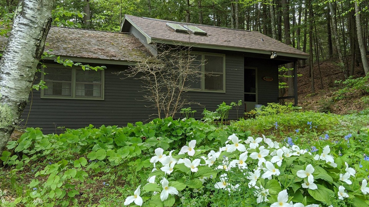 Pittsfield Cabin | Quaint cottage on peaceful NH lake! Enjoy swimming, kayaking, and trails.