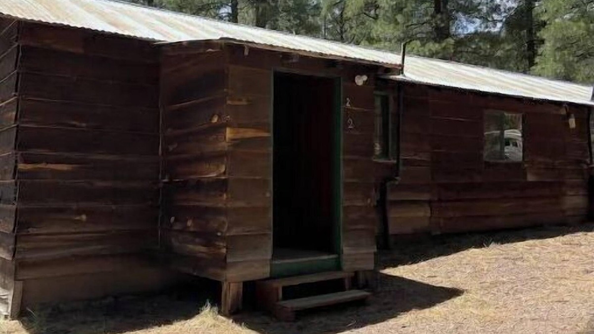 Alpine Cabin | Quaint Country Cabin in the tall pines AlpineAZ #2