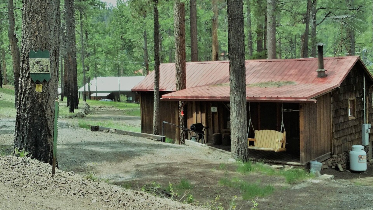 Greer Cabin | QUAINT COZY CABIN near East Fork, weekly and monthly rates, king bed, fireplace