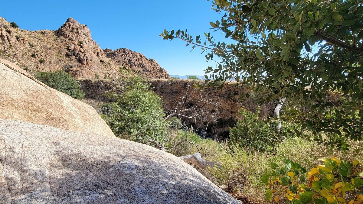 Pearce House | Quaint home in southern Arizona wine country. Pet Friendly!