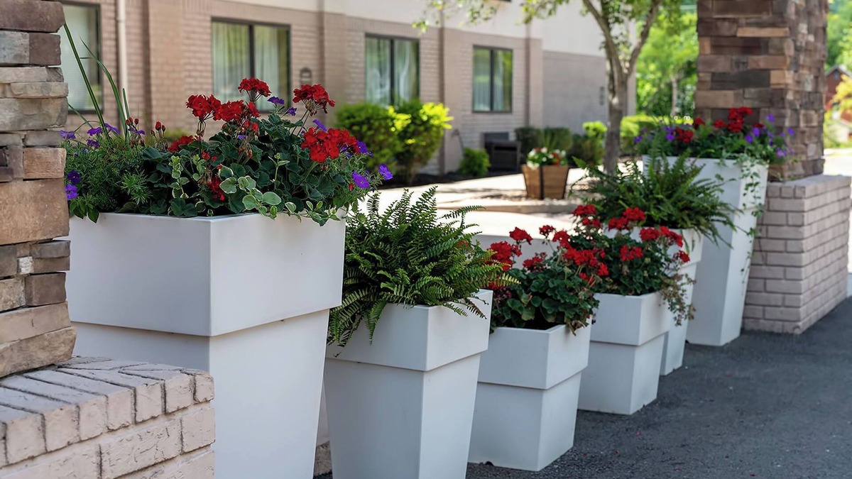 Mary Alice Hotel | Quality Inn