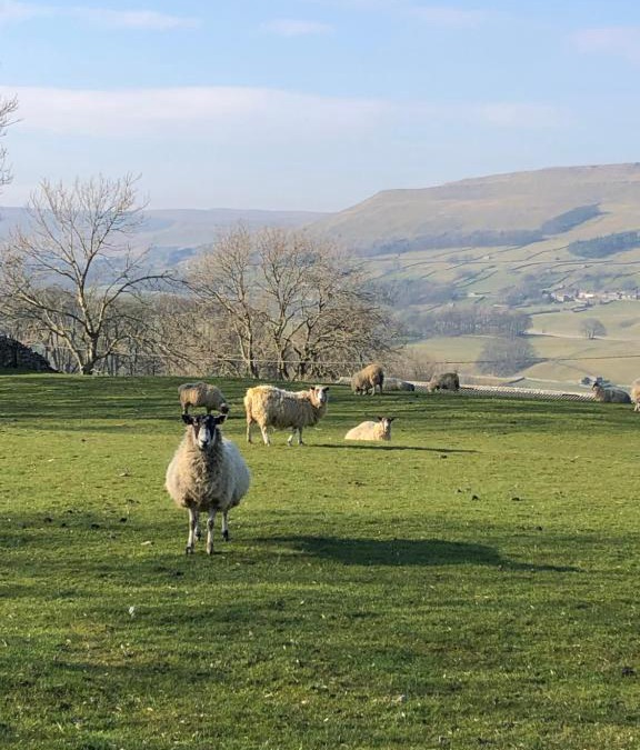 Burtersett House | Quarry Cottage near Hawes, Yorkshire Dales, Pet free
