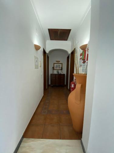 Vidigueira House | Quartos de Vidigueira