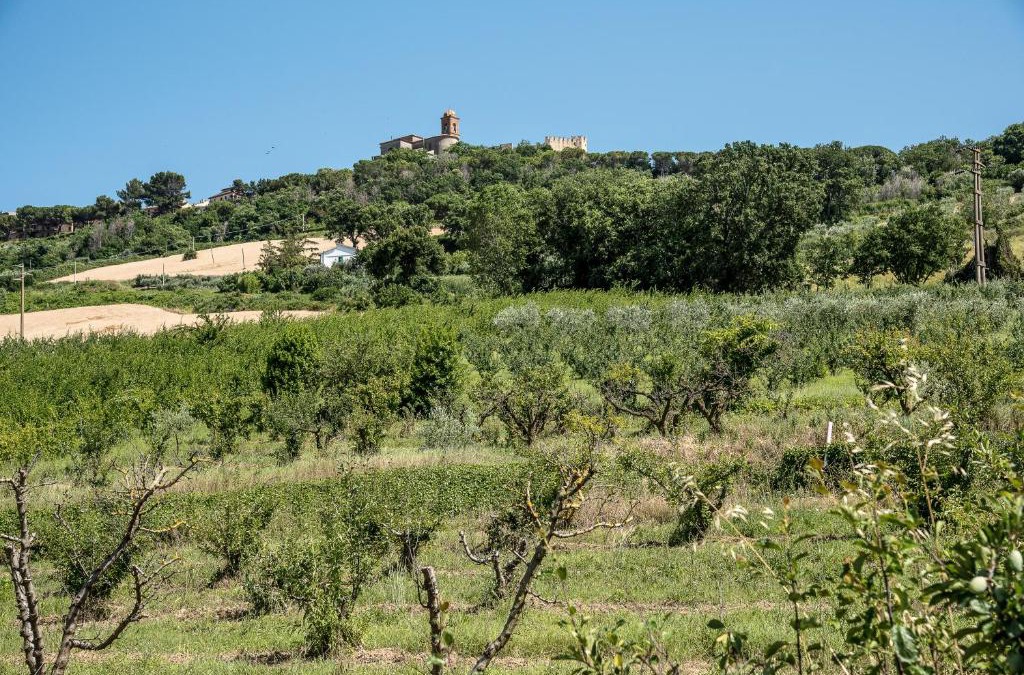 Campofilone Apartment | QUEEN appartamenti e camere