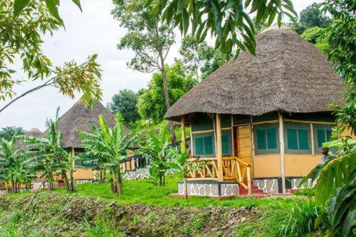 Kichwamba Cabin | Queen Elizabeth PVT Lodge