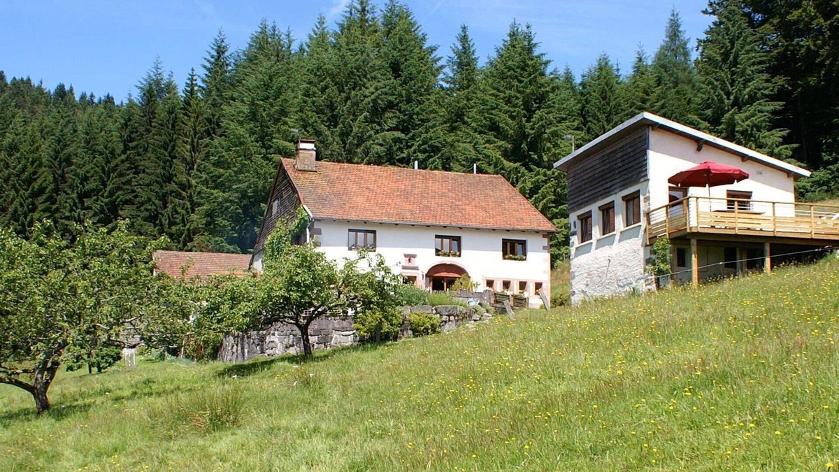 Cleurie Ski Chalet | Quiet 3 * gîte on the edge of the forest, overlooking the Moselotte valley