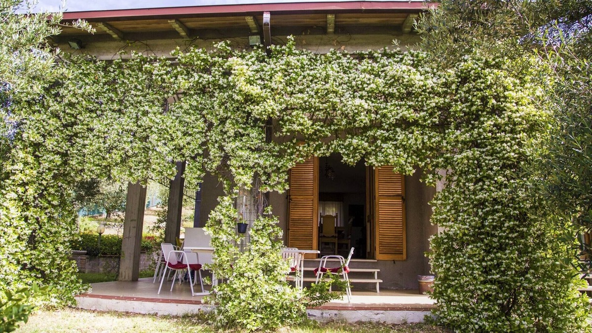 Montelaguardia House | Quiet,amid olive trees,BBQ,garden,free parking,10 min drive to centre & motorway
