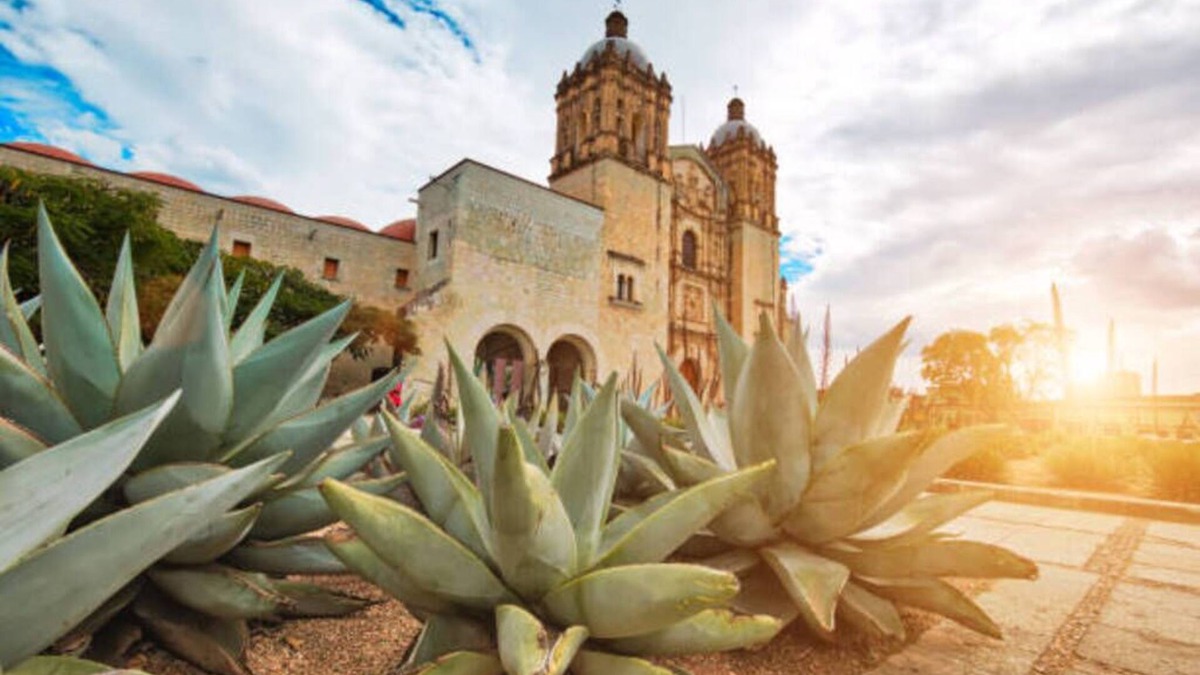 San Jacinto Amilpas House | quiet and safe place 15 minutes from the zocalo.