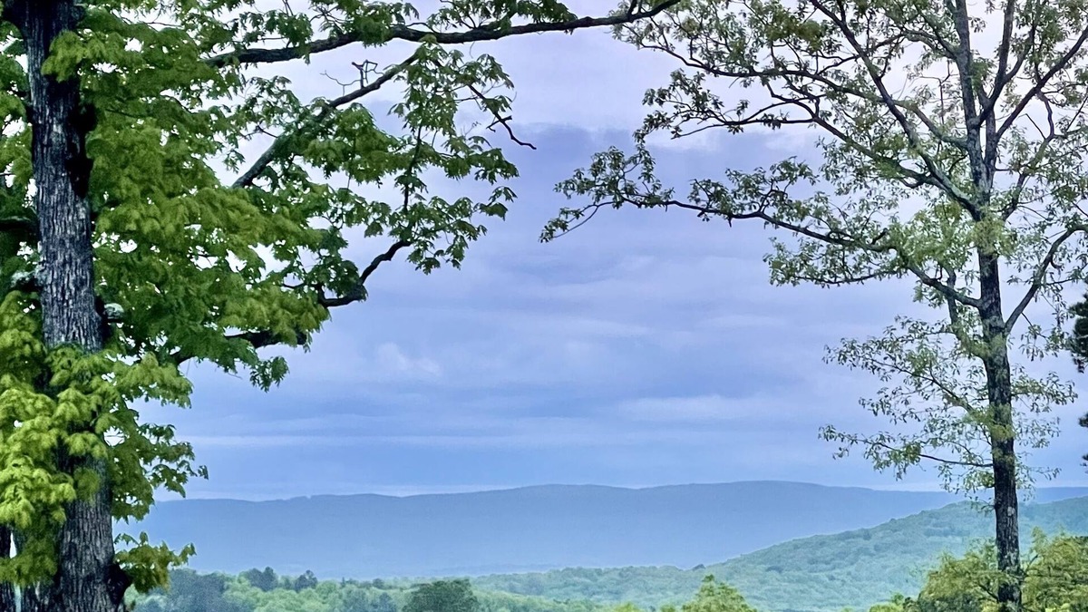 Harrison House | Quiet and secluded modern farmhouse 15 miles from the Buffalo River.