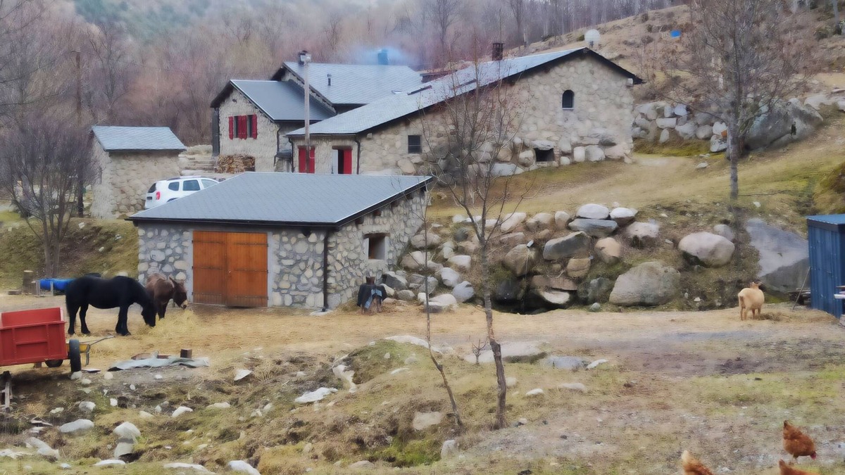 Porta Apartment | Quiet apartment near ski resort
