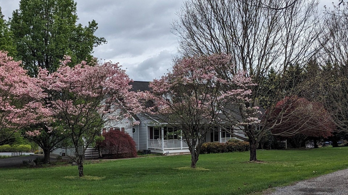 Lexington Apartment | Quiet Apt near Lexington and Buena Vista